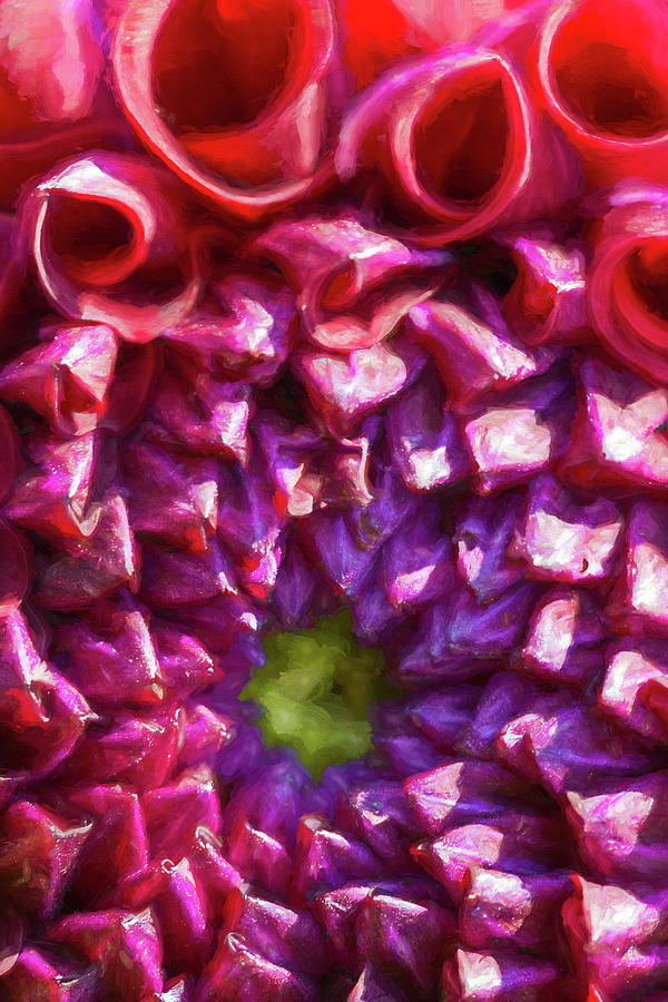 Spring Photograph - Dahlia Study 2 Painterly  by Scott Campbell