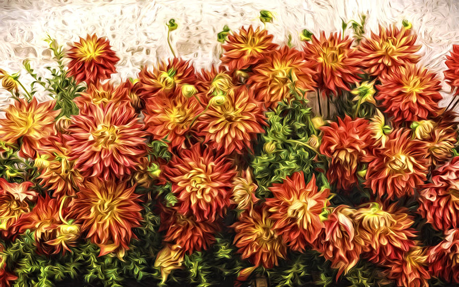 Dahlia Wall Photograph by Wes and Dotty Weber