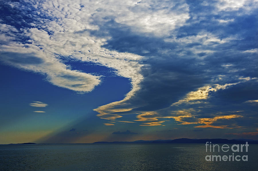 Nikon Photograph - Daily Gratitude... by Nina Stavlund Nikon Photograph - Daily Gratitude... by Nina Stavlund
