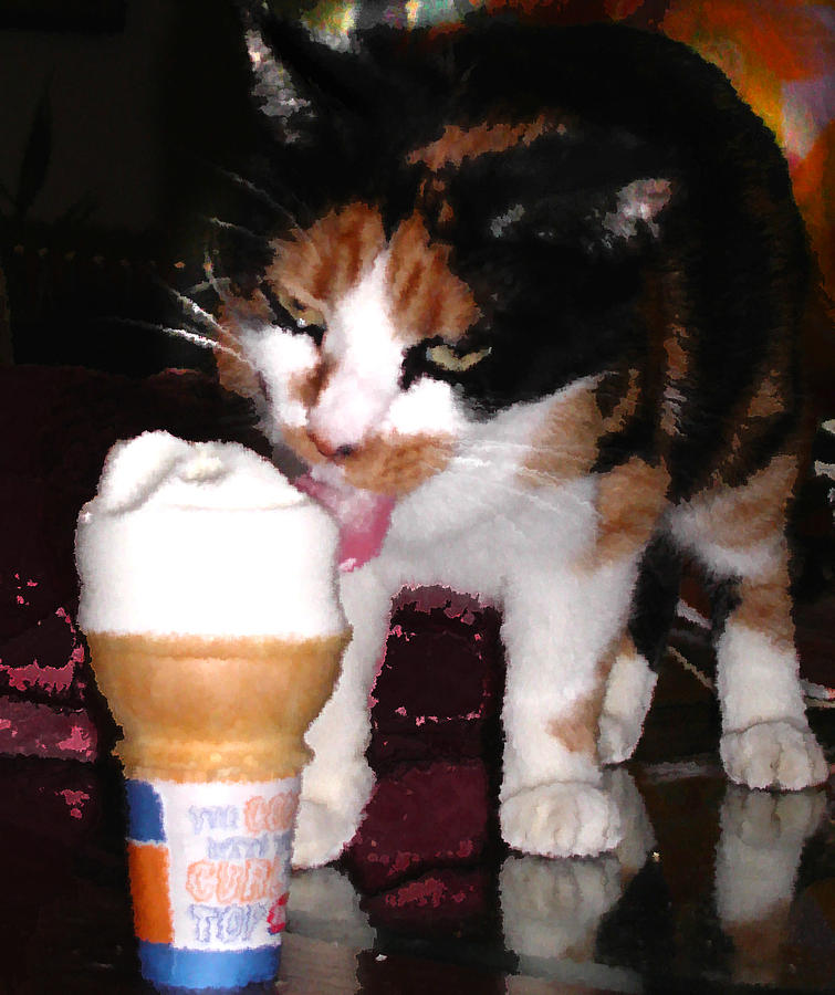 Dairy Queen Treat for Calico Photograph by Anne Cameron Cutri