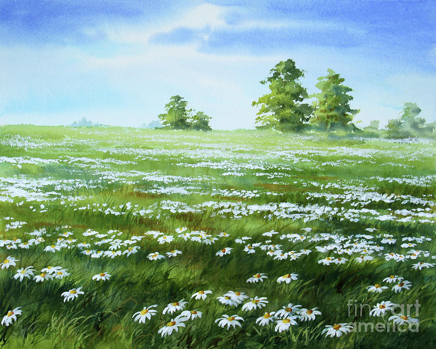 Daisies Field Painting by Varvara Harmon