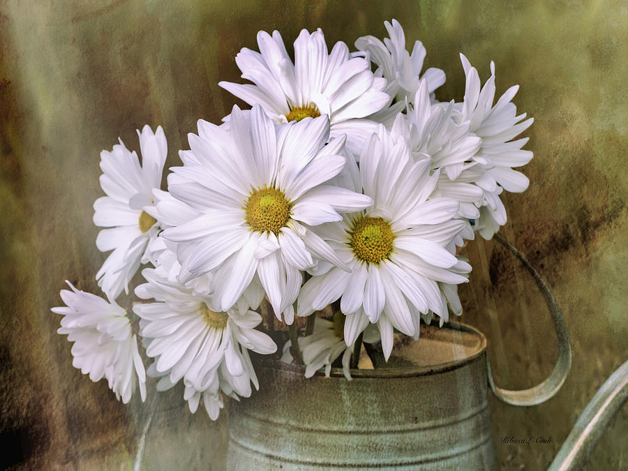 Daisies in Antique Watering Can Photograph by Bellesouth Studio
