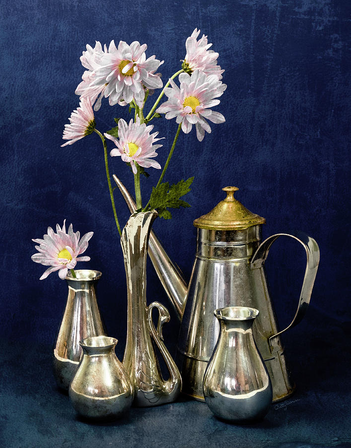 Still Life Photograph - Daisies in Silver Still-Life by Betty Denise