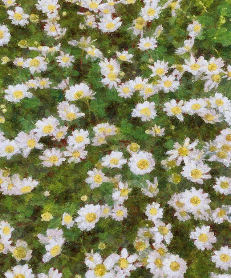 Daisies In Spring Painting by Taiche Acrylic Art