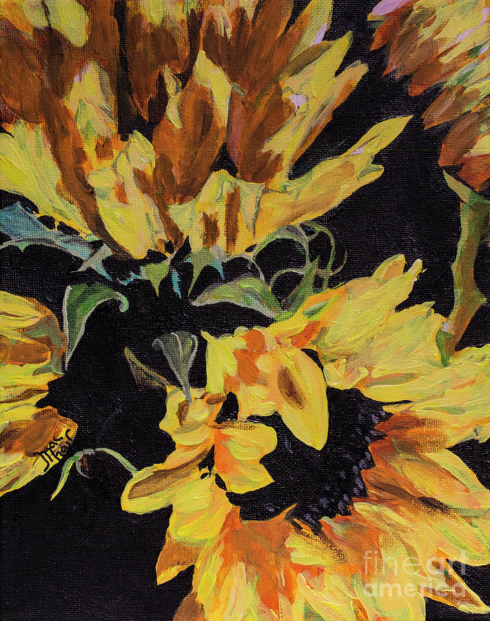 Flower Painting - Daisies by Jackie MacNair