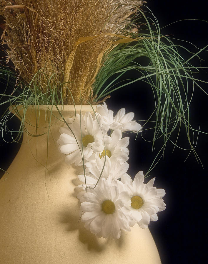 Daisy Photograph - Daisies on the side by Tom Mc Nemar