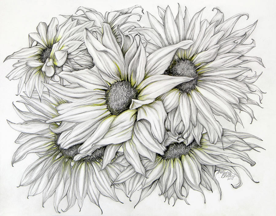 Sunflower Drawing In Pencil