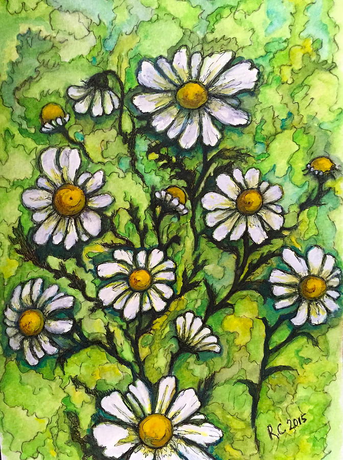 Daisies Painting by Rae Chichilnitsky