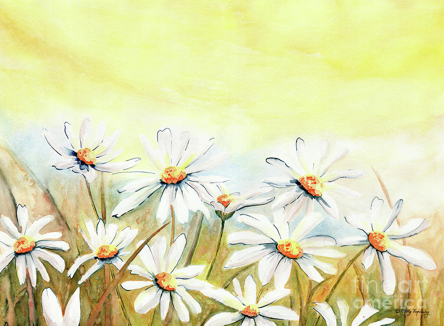 Daisies Watercolor Painting by Melly Terpening