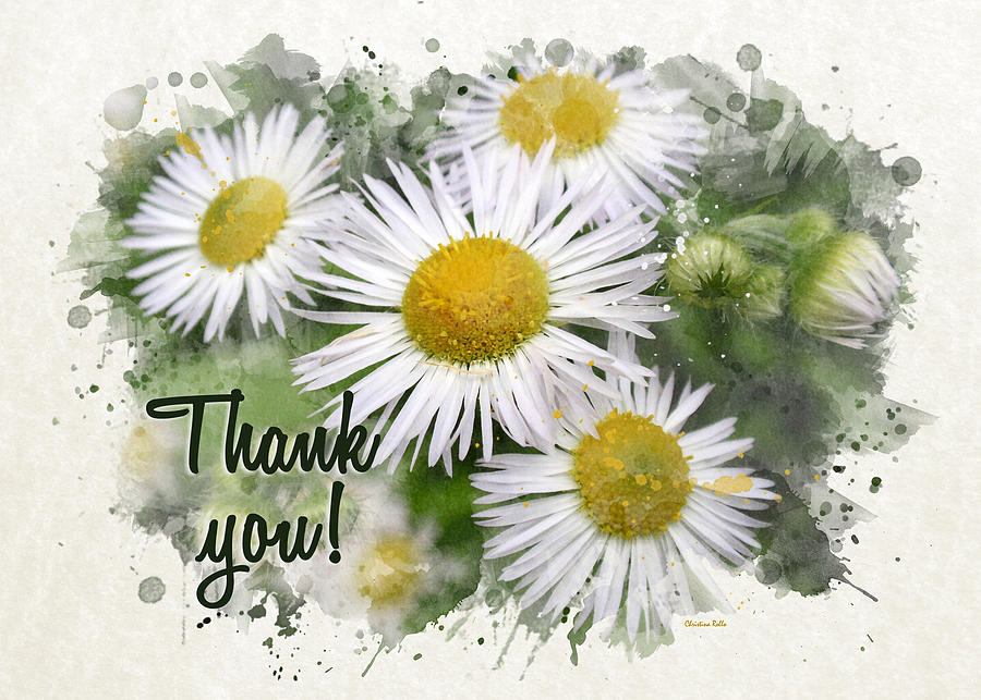 Daisies Watercolor Thank You Card Mixed Media by Christina Rollo