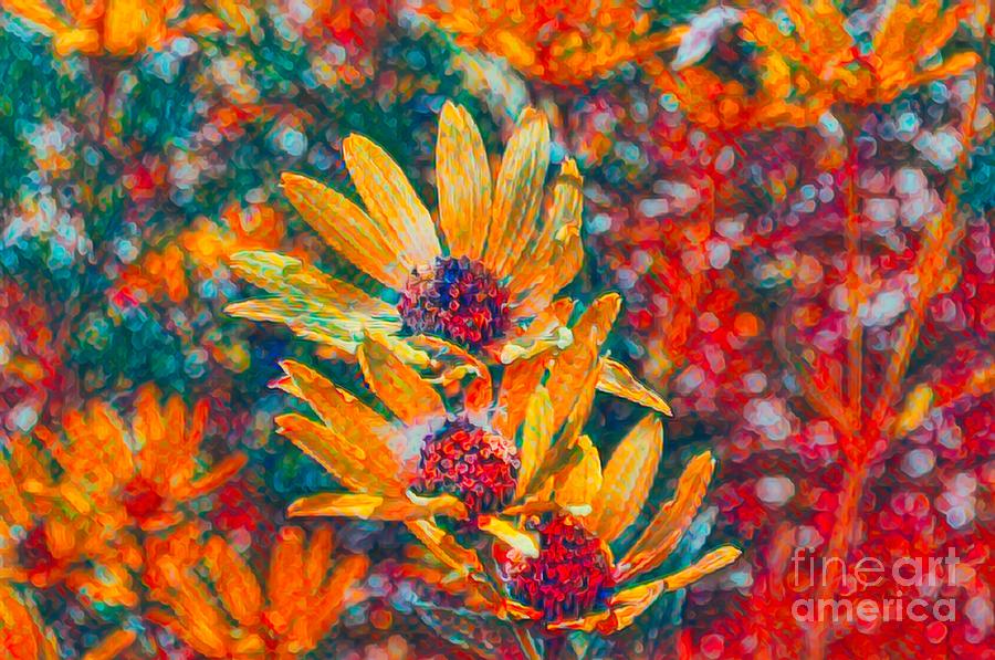 Daisy Color Pop Photograph by Luther Fine Art