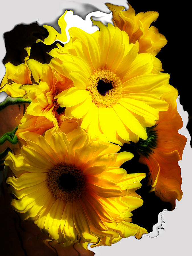 Flower Photograph - Daisy Daisy by Kathy Moll
