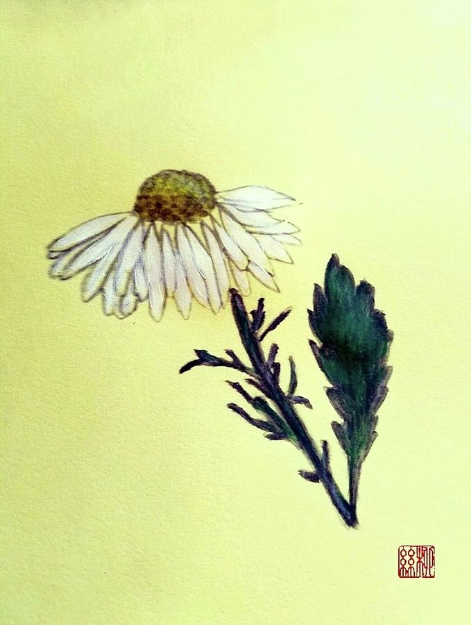 Daisy Daisy Painting by Margaret Welsh Willowsilk