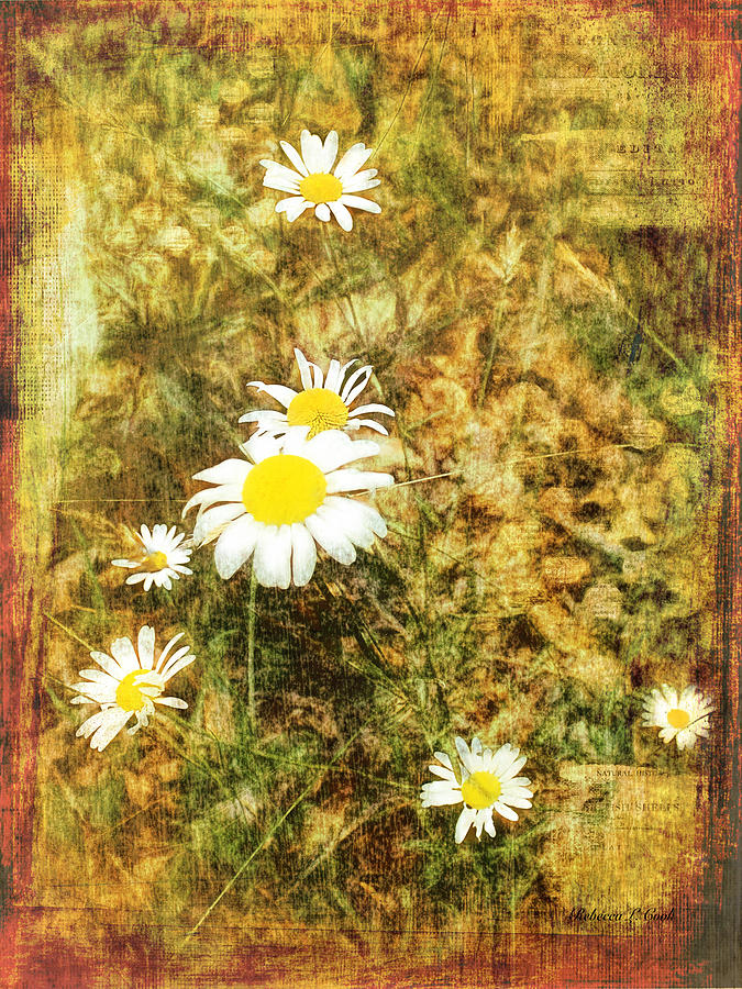 Daisy Glow Mixed Media by Bellesouth Studio