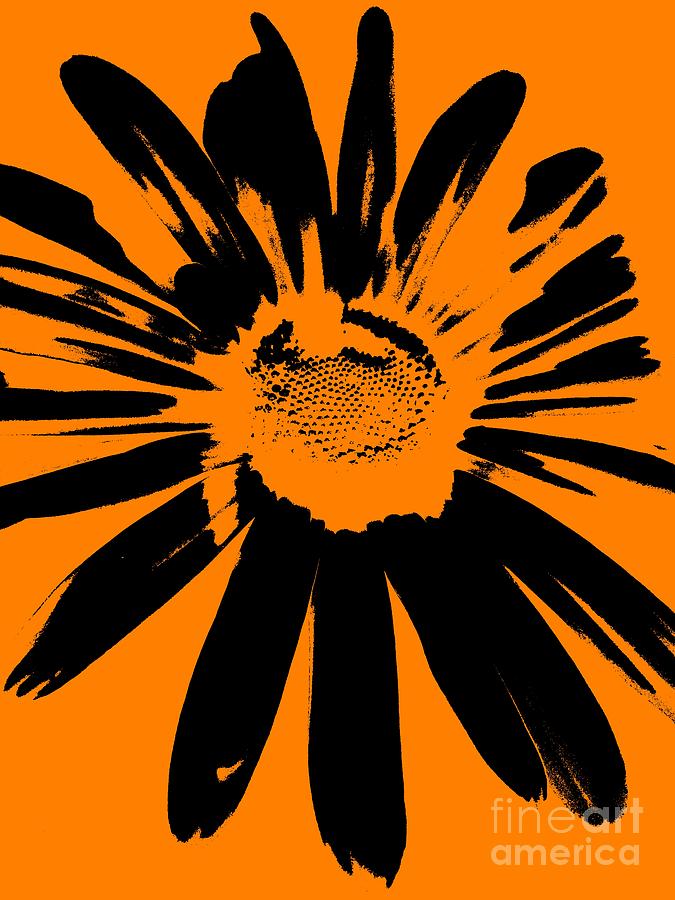 Abstract Photograph - Daisy In Black and Orange by Robert Coon Jr