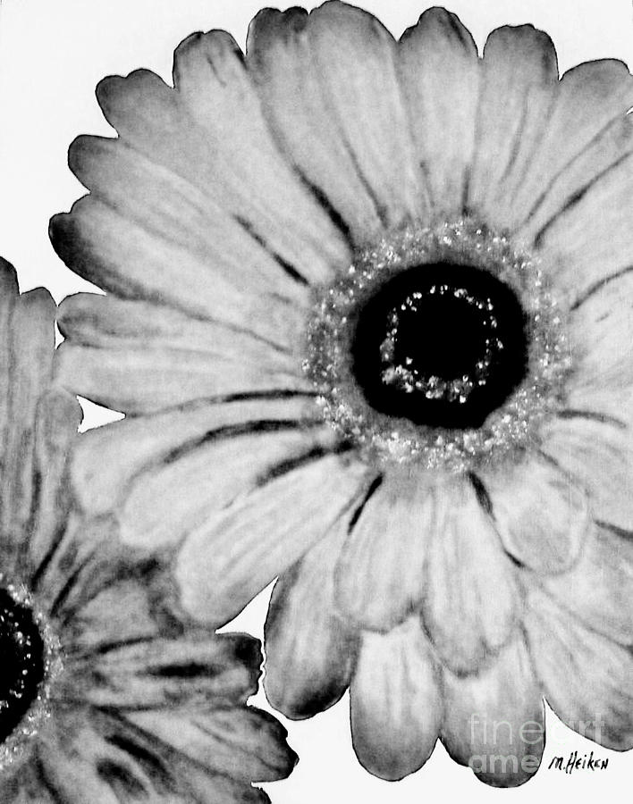 Daisy in Black and White Painting by Marsha Heiken