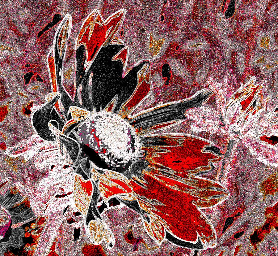 daisy in red by AJP daisy in red by AJP