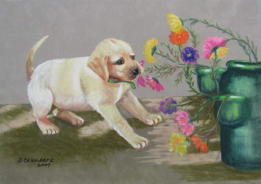 Daisy In The Flowers Painting by Donna Chambers