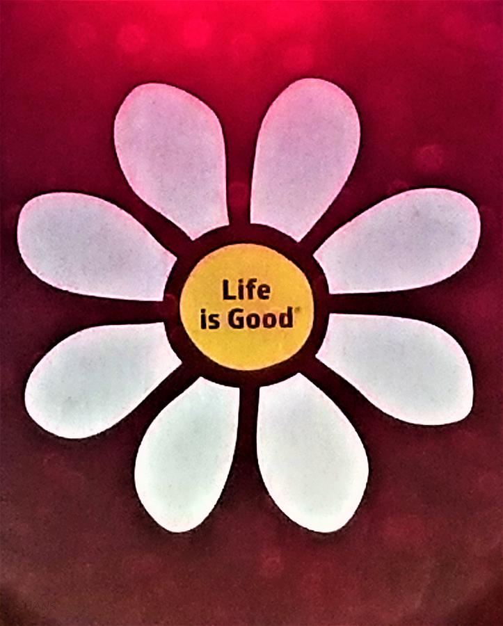 Daisy Life Is Good Photograph by Rob Hans