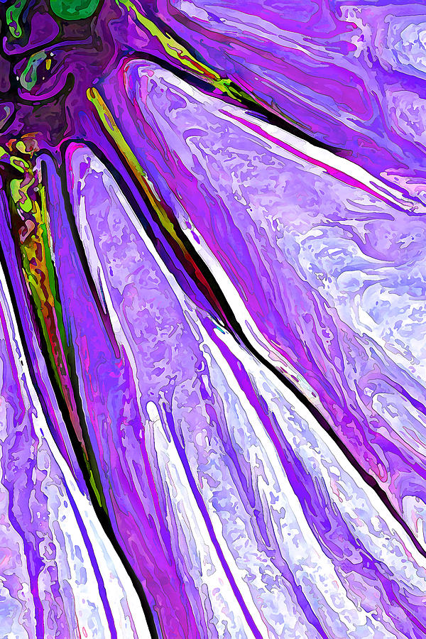 Daisy Petal Abstract in Grape Digital Art by ABeautifulSky Photography by Bill Caldwell