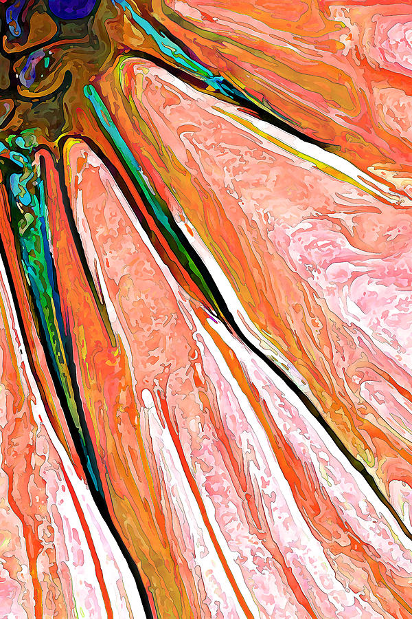 Daisy Petal Abstract in Salmon Digital Art by ABeautifulSky Photography by Bill Caldwell