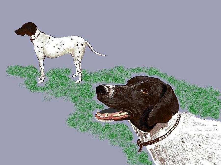 Dog Digital Art - Daisy Smiles by Carole Boyd