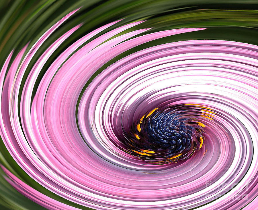 Abstract Photograph - Daisy Twirl by Norman Andrus
