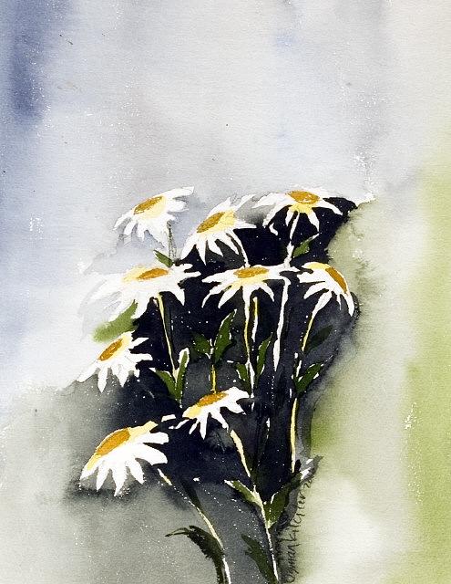 Flowers Painting - Daisys by Osman Kilciler Flowers Painting - Daisys by Osman Kilciler