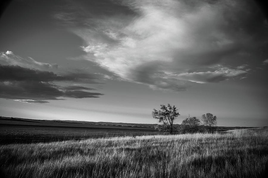 Dakota Grassland Black and White Photograph by Steven Bateson