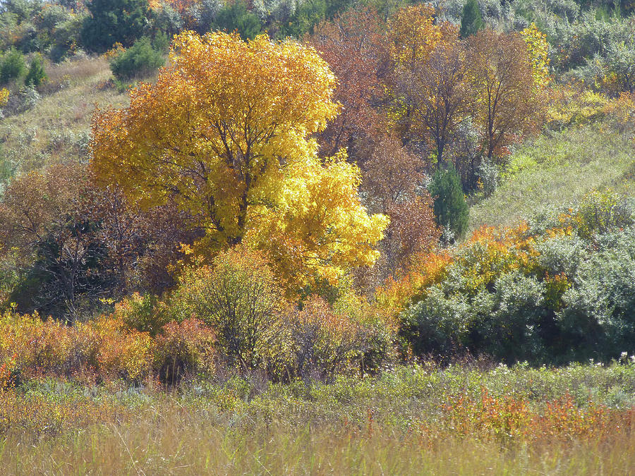 Dakota Prairie Autumn Photograph by Cris Fulton