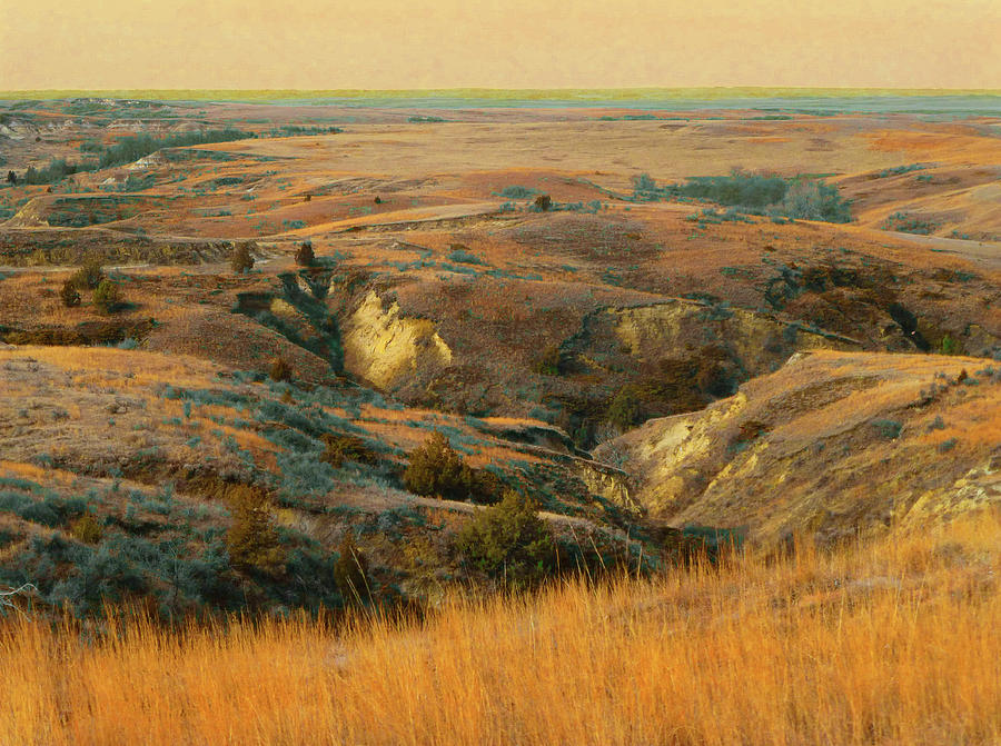 Dakota Prairie Reverie Photograph by Cris Fulton