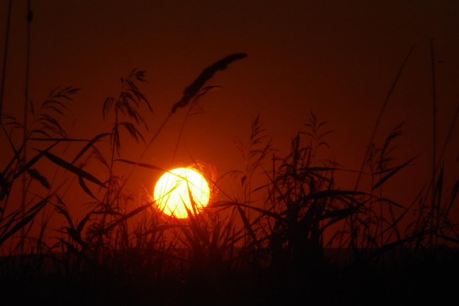 Dakota Sunset Photograph by Jeff Swan - Fine Art America