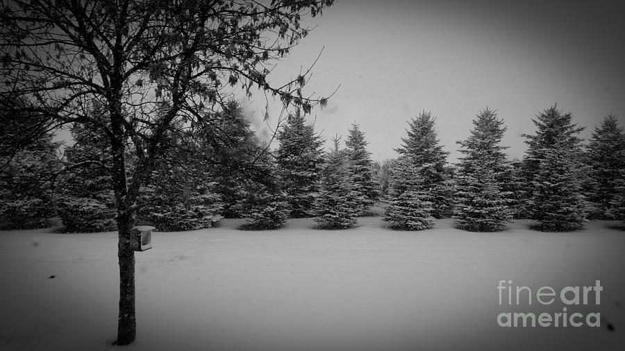 Dakota Winter Photograph