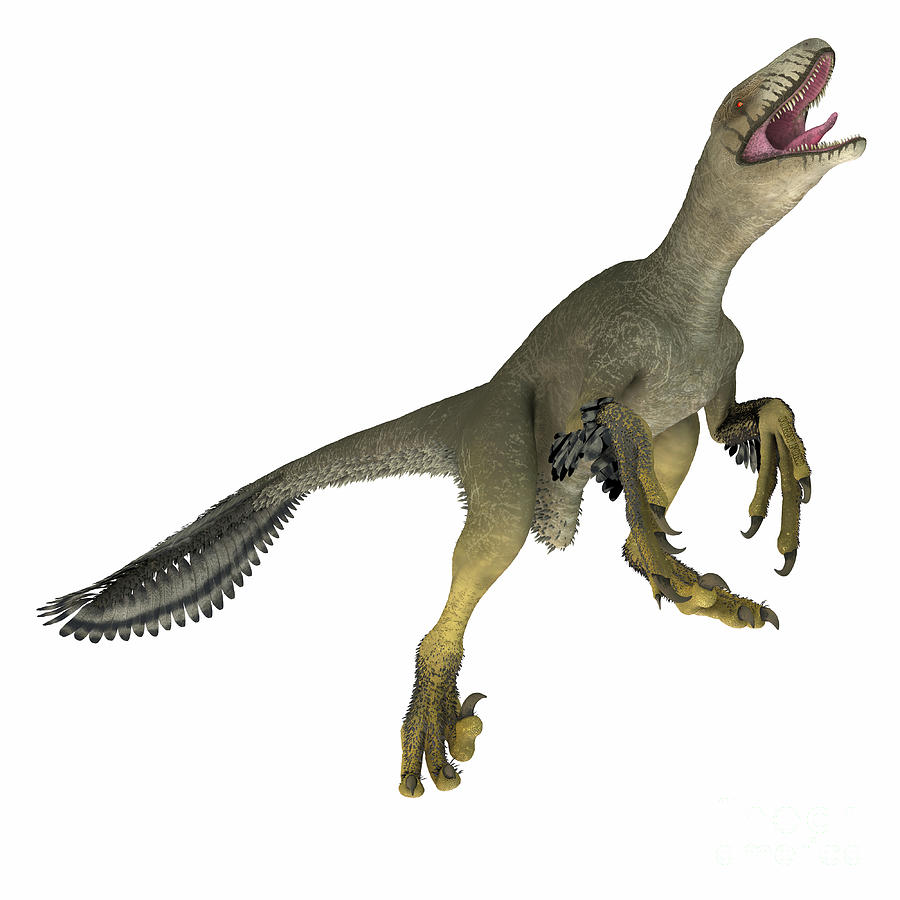 Dakotaraptor Dinosaur On White Digital Art