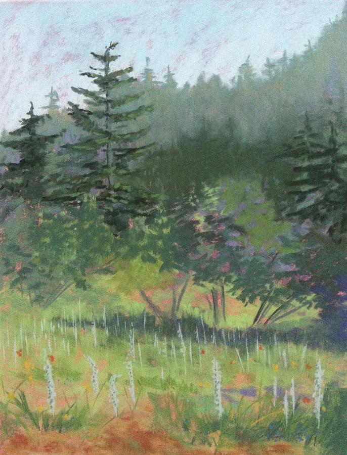 Meadow Painting - Dale Creek Meadow by Janet Biondi Meadow Painting - Dale Creek Meadow by Janet Biondi