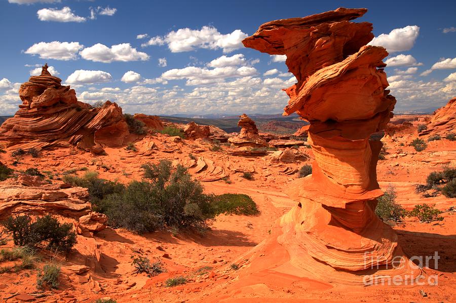 Dali Rock At Coyote Buttes Photograph by Adam Jewell