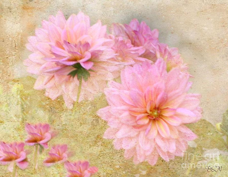 Flower Photograph - Dahlia Days by Barbara S Nickerson