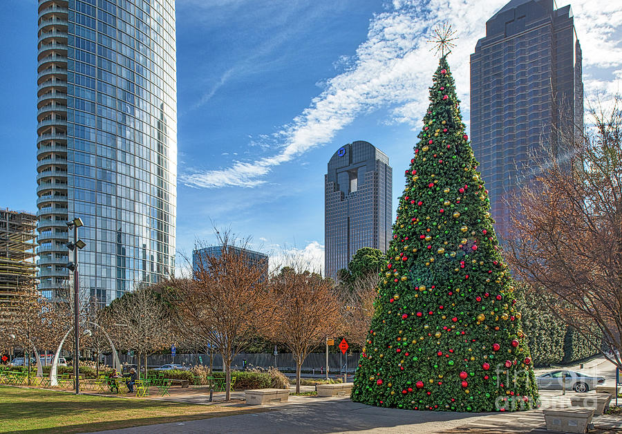 Dallas Christmas Tree Photograph by Bee Creek Photography Tod and