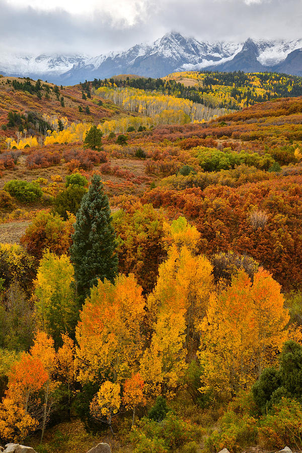 Fall Photograph - Dallas Divide by Ray Mathis