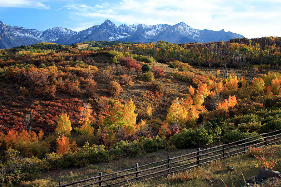 Dallas Divide, Ridgeway, CO Photograph by Wayne Wheless - Fine Art America