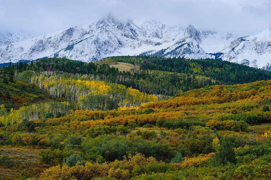 Dallas Divide Snow Photograph by Greg Fugate - Fine Art America