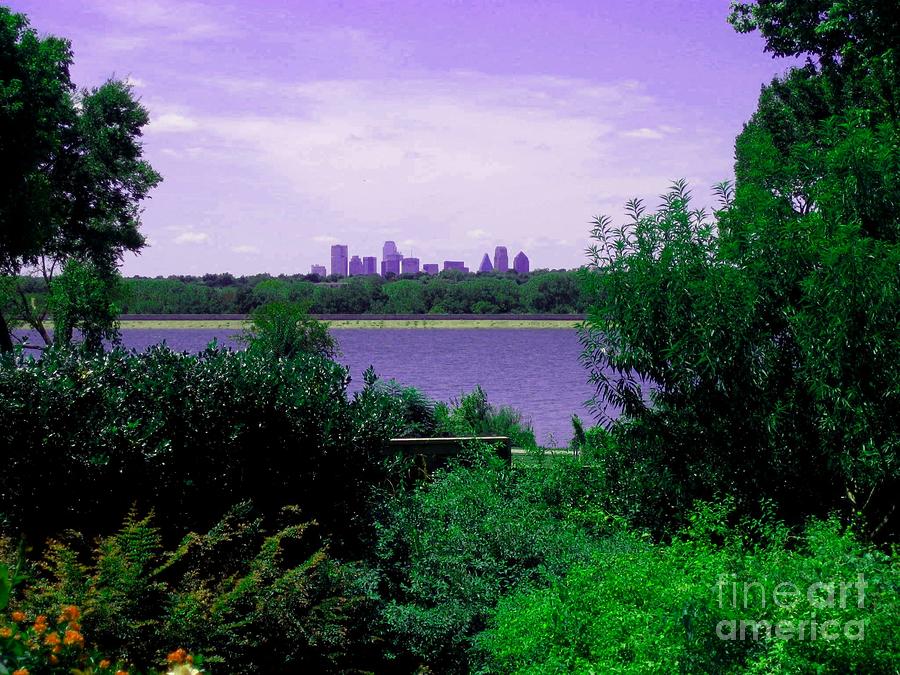 Dallas from the Park Photograph by Robert D McBain