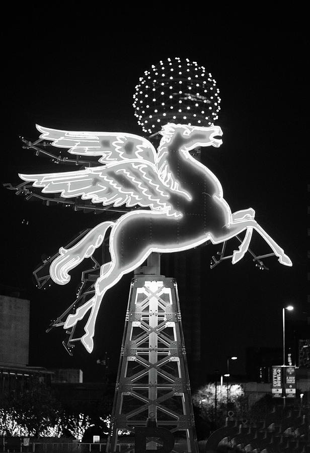 Dallas Pegasus bw 121517 Photograph by Rospotte Photography