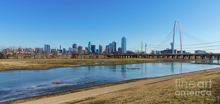 Dallas Skyline Photograph by Jennifer White