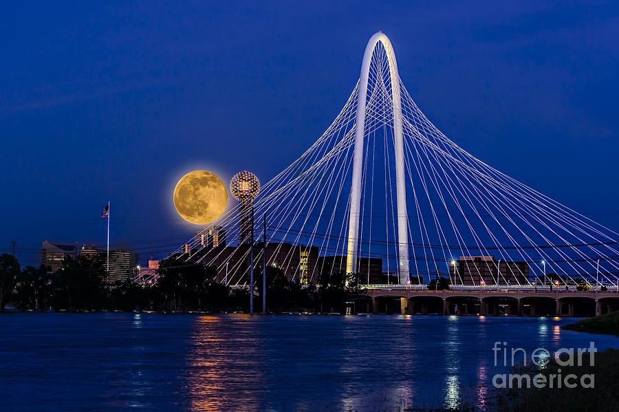 Dallas Strawberry Moon at Twilght Photograph by Tamyra Ayles