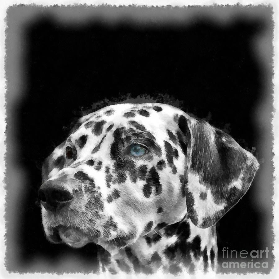 Dalmatian Dog Watercolor Digital Art by Edward Fielding