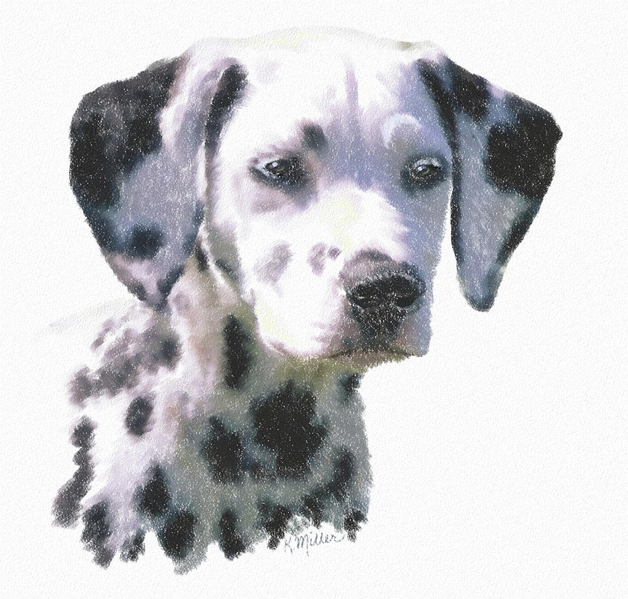 Dalmatian Puppy Digital Art by Kathie Miller