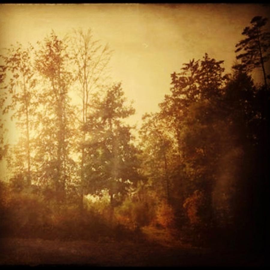 Fall Photograph - Damals.

#herbst #nostalgie #autumn by Mandy Tabatt