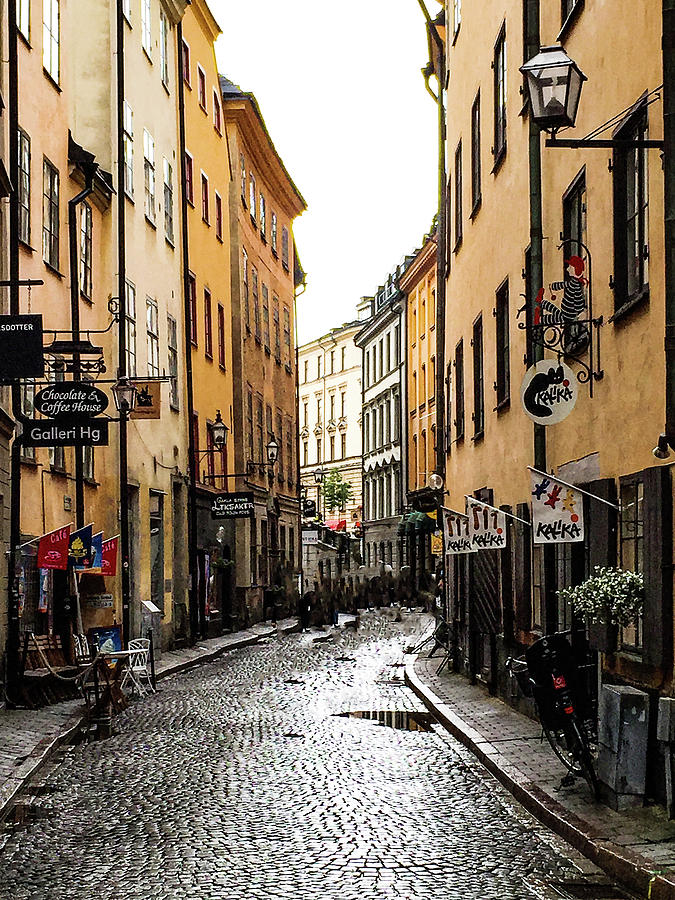 Damp Stockholm street Photograph by Ian Watts