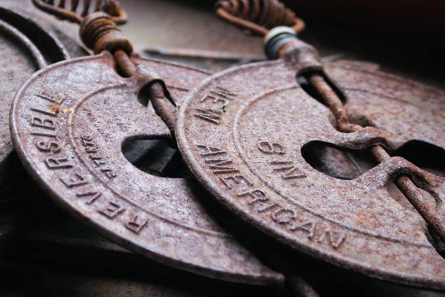 Dampers Photograph by Lois Lepisto Fine Art America